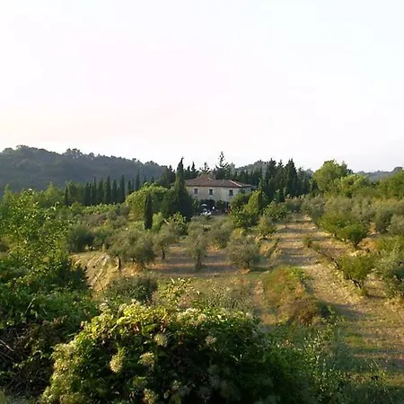 Podere Il Cardellino