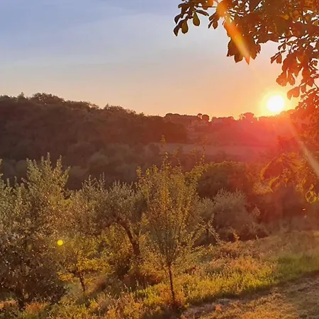Apartamento Podere Il Cardellino *