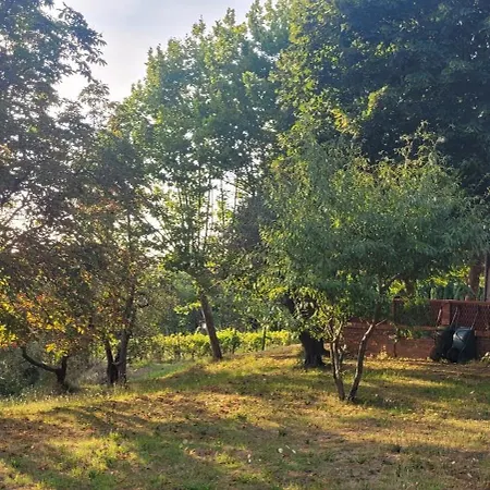 Podere Il Cardellino Lari