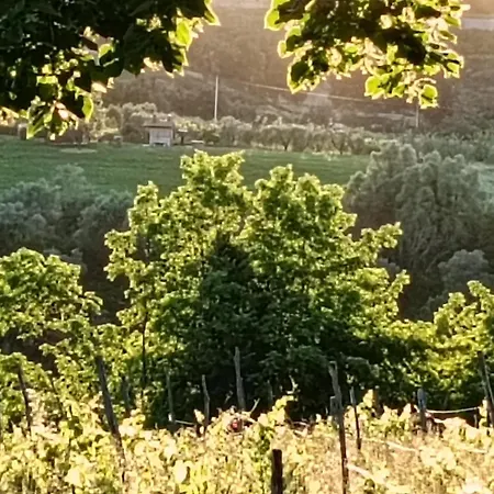 Apartamento Podere Il Cardellino *